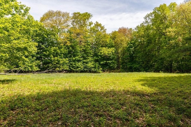 326 Lake Rd, Ashburnham, MA 01430 - view of yard with a view of trees
