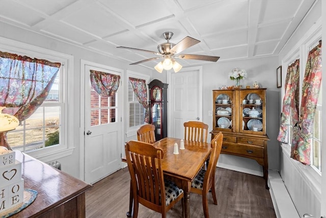 dining space with wood finished floors, coffered ceiling, and ceiling fan