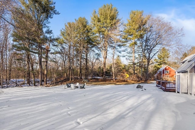 view of yard covered in snow