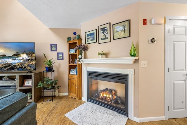 living room featuring a baseboard radiator and light hardwood / wood-style floors