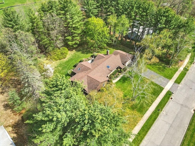 bird's eye view