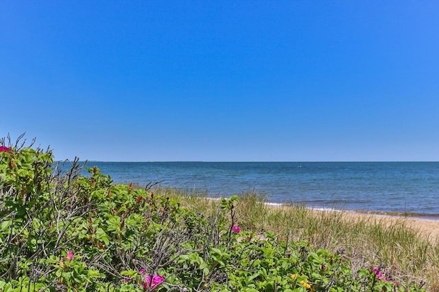 property view of water with a view of the beach