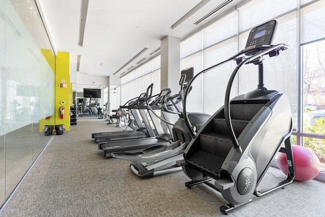 workout area featuring a wall of windows