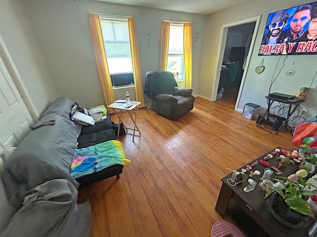 living room featuring hardwood / wood-style flooring