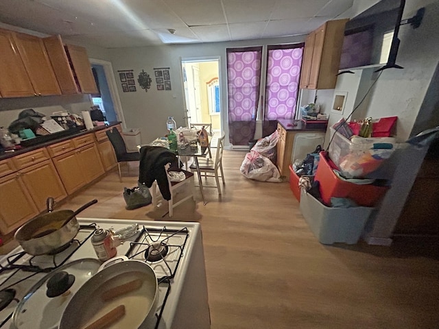 kitchen featuring light wood-type flooring