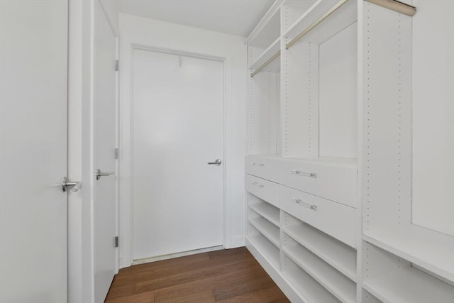 walk in closet featuring dark wood-style floors