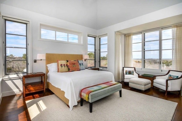 bedroom with multiple windows and dark hardwood / wood-style flooring