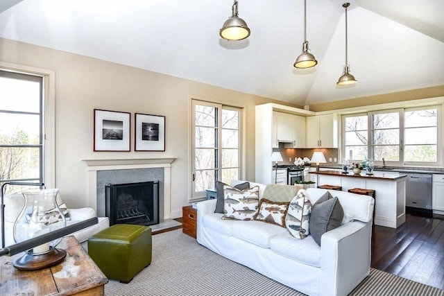 living room with vaulted ceiling and dark wood-type flooring