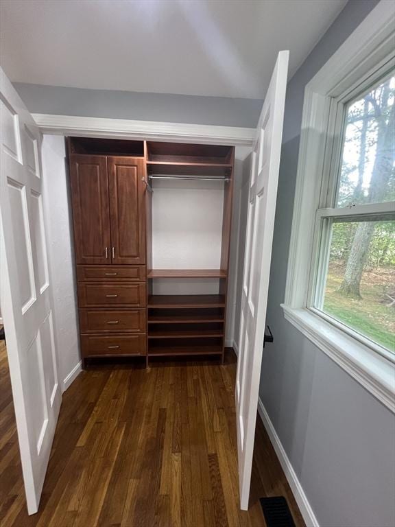 view of closet