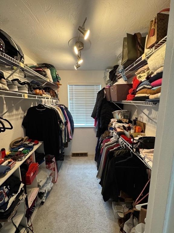 159 Tall Oaks Dr Unit H, Weymouth, MA 02190 - walk in closet with carpet floors