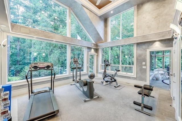70 Lazell St, Hingham, MA 02043 - workout area with a towering ceiling, healthy amount of natural light, carpet floors, and crown molding