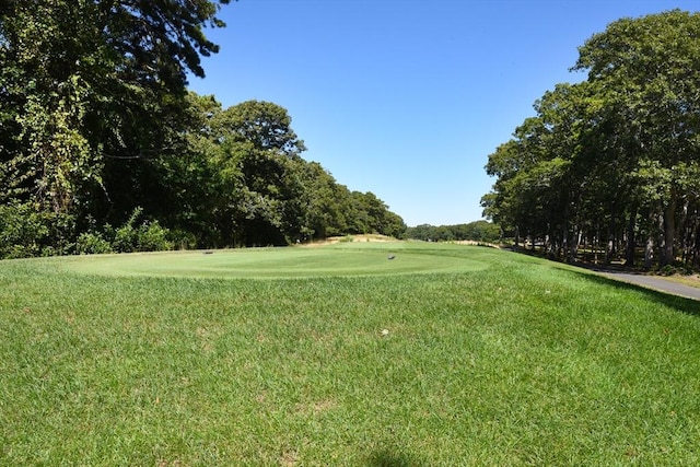 view of property's community featuring a lawn