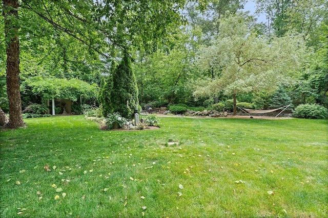 6 Fruit St, Hopkinton, MA 01748 - view of grassy yard