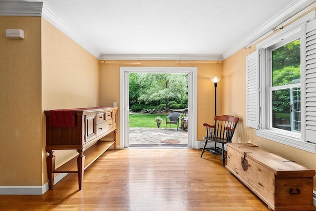 6 Fruit St, Hopkinton, MA 01748 - living area featuring light wood finished floors and ornamental molding