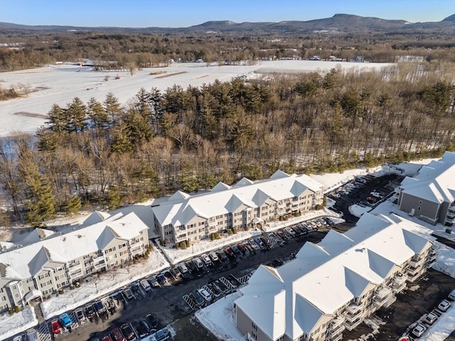 bird's eye view featuring a residential view and a mountain view