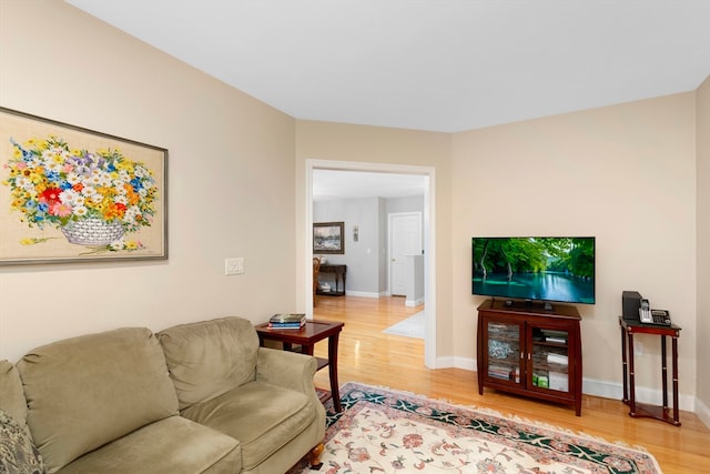 living room featuring hardwood / wood-style floors