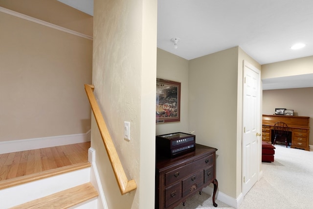 stairs with ornamental molding and carpet