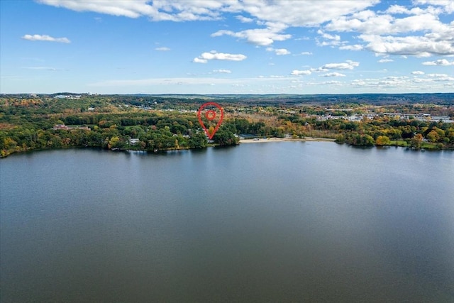 bird's eye view featuring a water view and a view of trees