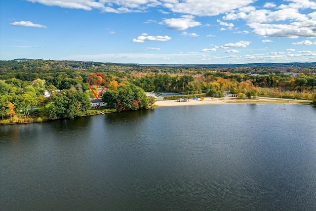 drone / aerial view with a water view and a forest view