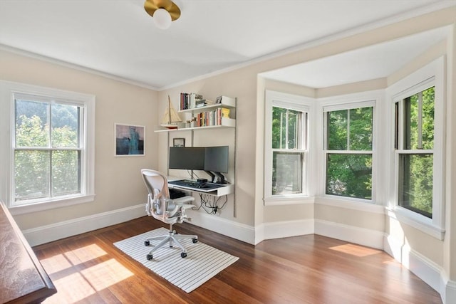 home office with wood finished floors, baseboards, and ornamental molding