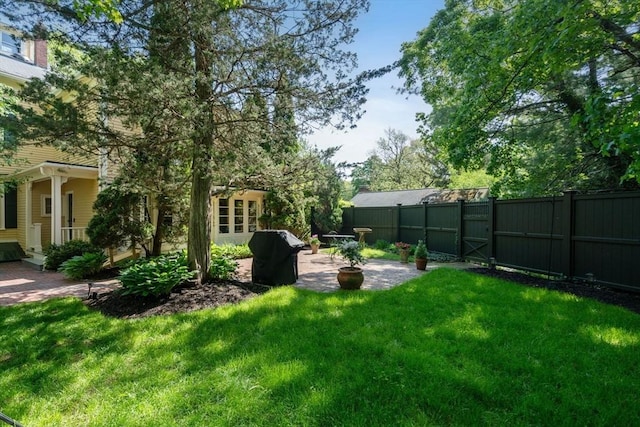 view of yard featuring a patio and a gate