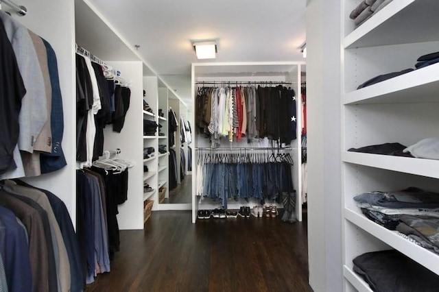 spacious closet with wood finished floors
