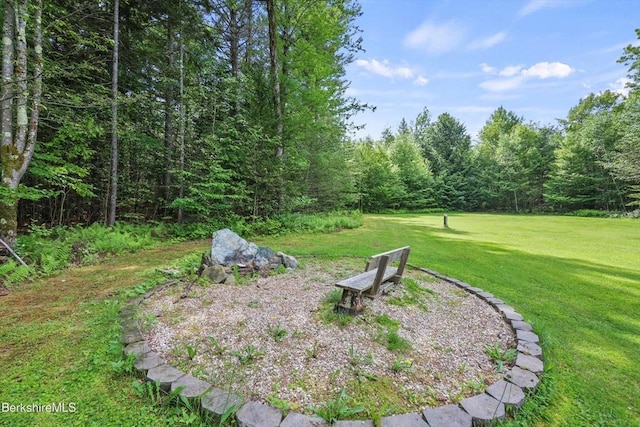 32 Scott Rd, Savoy, MA 01256 - view of green lawn featuring a wooded view