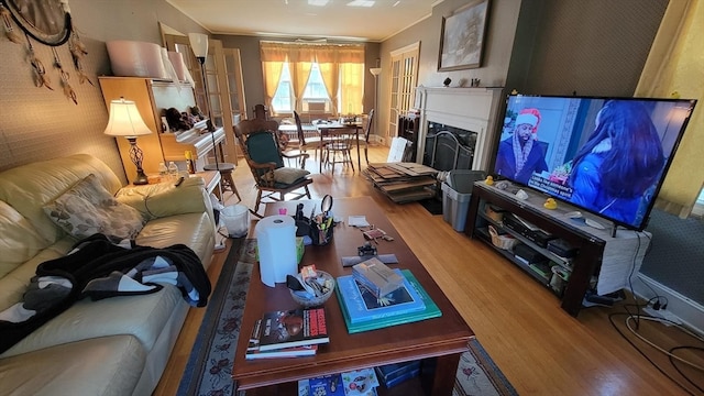 living room featuring hardwood / wood-style floors