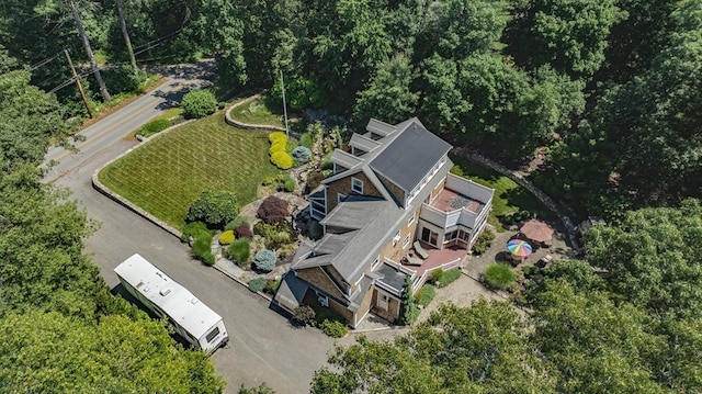 aerial view
