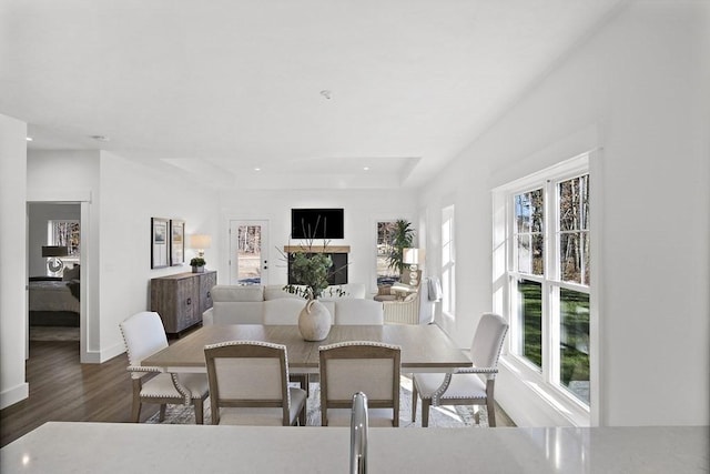 25 Salisbury Hill Blvd Unit 62, Worcester, MA 01609 - dining space featuring wood finished floors, a wealth of natural light, and recessed lighting