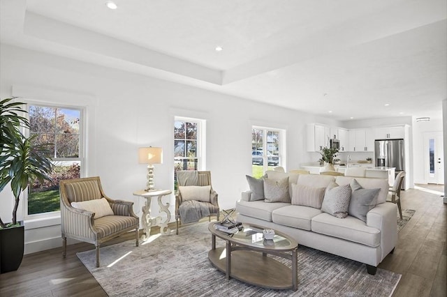 25 Salisbury Hill Blvd Unit 62, Worcester, MA 01609 - living room with dark wood finished floors, baseboards, and recessed lighting