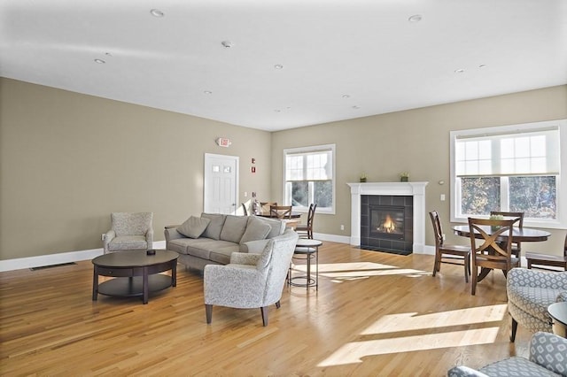 25 Salisbury Hill Blvd Unit 62, Worcester, MA 01609 - living room featuring light wood-style floors, a tiled fireplace, baseboards, and visible vents