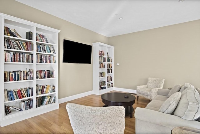 25 Salisbury Hill Blvd Unit 62, Worcester, MA 01609 - living room featuring baseboards and wood finished floors