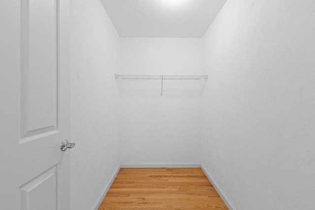 spacious closet featuring light hardwood / wood-style floors