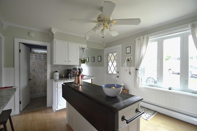 11 Dallas St, Worcester, MA 01604 - kitchen featuring a baseboard heating unit, white cabinets, a ceiling fan, crown molding, and a wainscoted wall