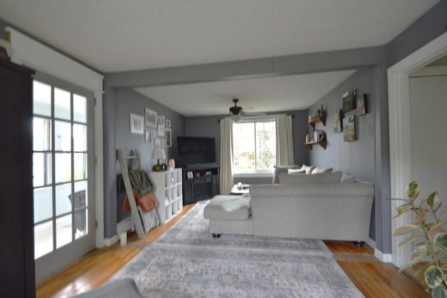 11 Dallas St, Worcester, MA 01604 - living room with ceiling fan and wood finished floors