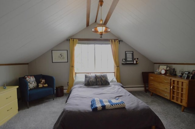 11 Dallas St, Worcester, MA 01604 - bedroom with carpet flooring, a baseboard radiator, and lofted ceiling