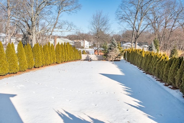 view of yard covered in snow