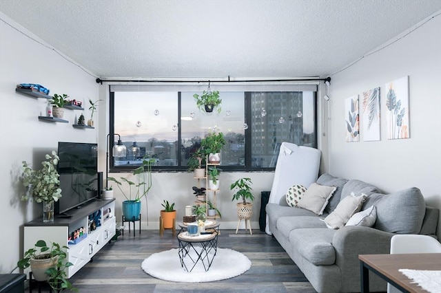 living room featuring dark hardwood / wood-style floors and a textured ceiling