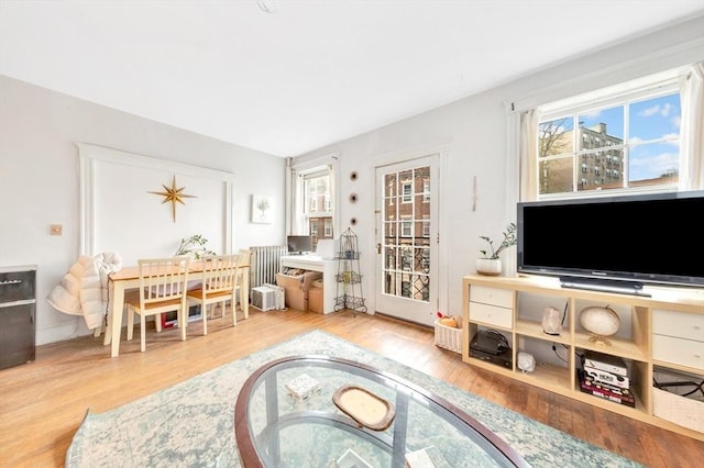 living area with plenty of natural light and wood finished floors