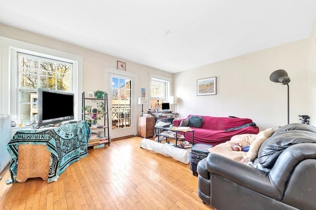 living room featuring hardwood / wood-style floors