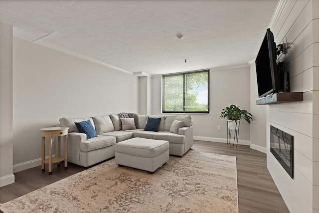 living room featuring wood-type flooring and ornamental molding