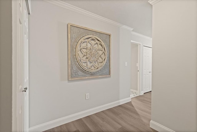 interior space with hardwood / wood-style floors and ornamental molding