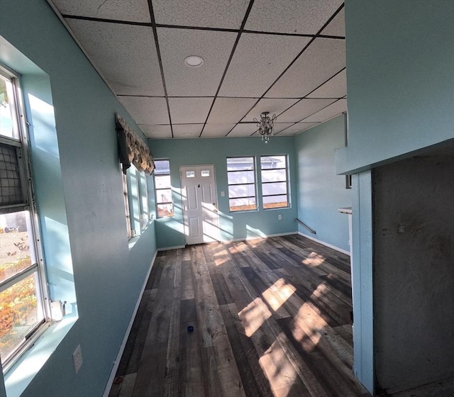 interior space featuring dark hardwood / wood-style floors and a drop ceiling