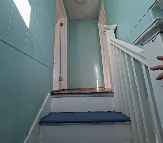 stairway with wood walls