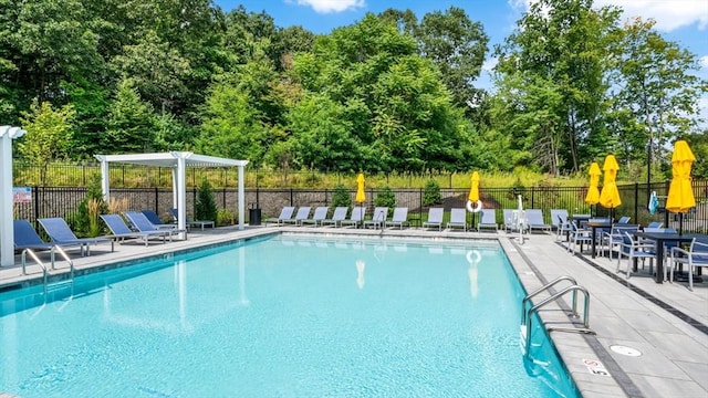 view of pool with a patio