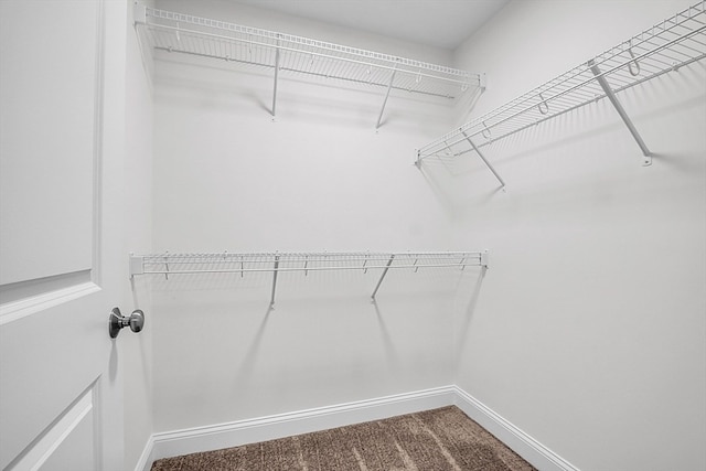 walk in closet with carpet