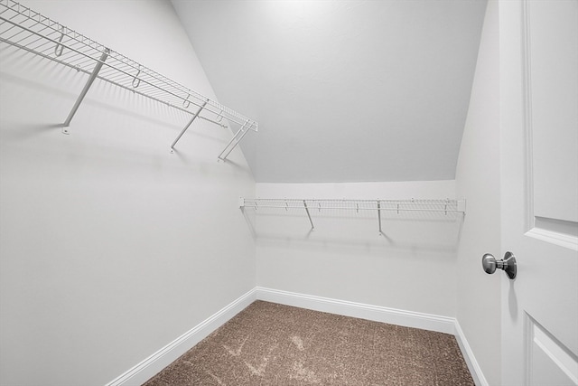 walk in closet with lofted ceiling and carpet floors