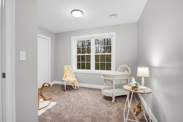 living area featuring carpet flooring