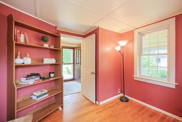 21 Witherell Pl, Plainville, MA 02762 - bedroom with light wood-type flooring, multiple windows, and baseboards